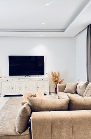 mira premium house (2)